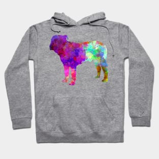 Majorca Mastiff in watercolor Hoodie